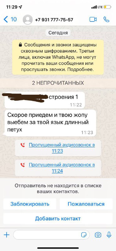 Настойчивые парни из солнечного Азербайджана в последнее время настойчиво ищут …